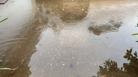 Rain falling with ripples  스톡 동영상 105923498