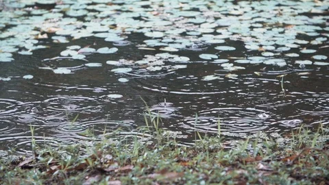 Rain falling in river Video stock 128139114