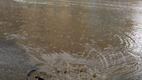 Rain falling on road, flowing through sewer drain. Cars drive on a flooded way. Stock Footage 90639866