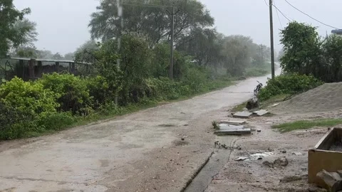 Rain Falling on Road with Green Trees | Monsoon Countryside Travel Nature Scene 스톡 동영상 316225828