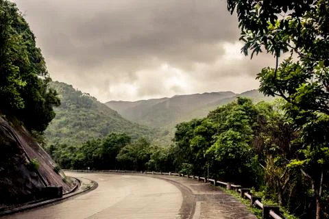 Rain falling on a road in the jungle Stock Photos