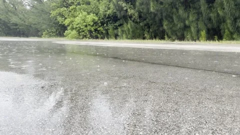 Rain Falling Into Road Puddle With Sound, Miami, 4K Stock Footage 340828902