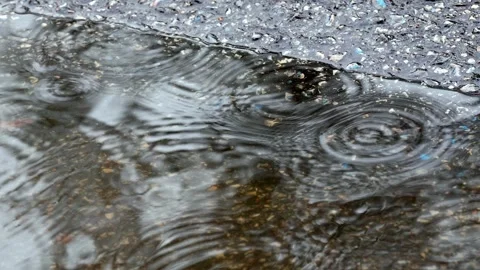 Rain Falling on a Roadside Puddle Video stock 346370339