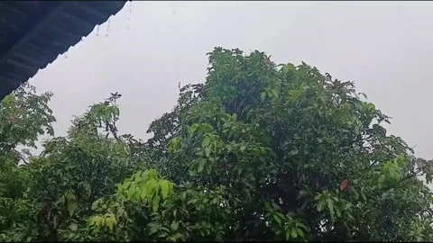 Rain Falling from Roof Eaves at Rural Home in Vietnam Stock Footage 336973193