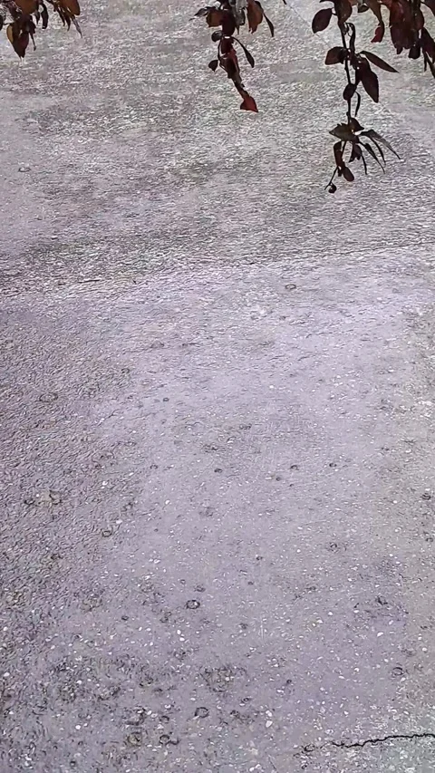 Rain Falling Short Video Video stock 249220043