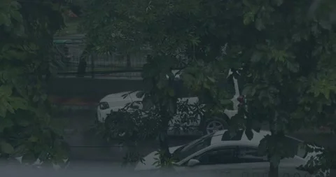 Rain Falling  shot on road Stock Footage 219452555