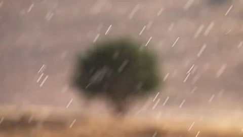 Rain falling in slow motion during storm in the Utah desert Stock Footage 344614694
