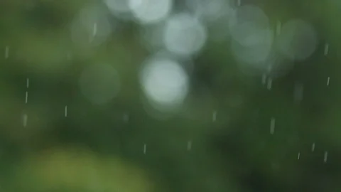 Rain falling in slow-motion Stock Footage 88291689