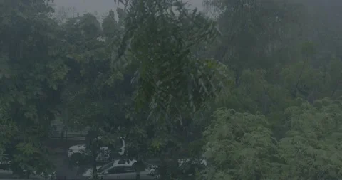 Rain Falling on slow motion Stock Footage 219452921