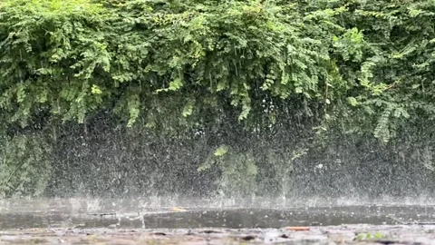 Rain falling in slow motion into puddles on sidewalk Video stock 277340126