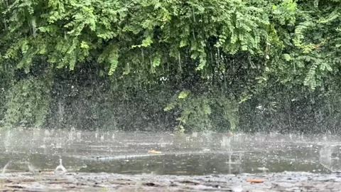 Rain falling in slow motion into puddles on sidewalk on a spring day Stock Footage 278092307
