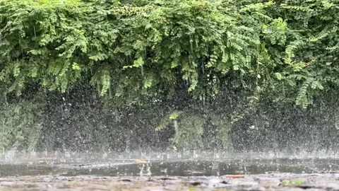 Rain falling in slow motion into puddles on pavement Stock Footage 278092356