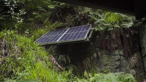 Rain Falling On Solar Panel In Forest Video stock 78642738