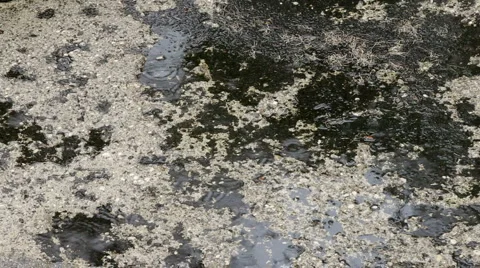 Rain falling on the street 库存影片 2238179