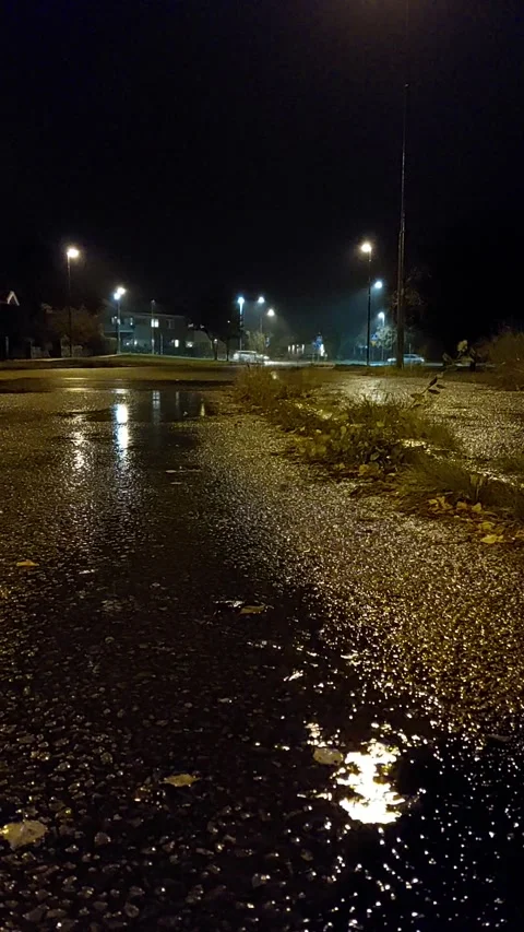 Rain Falling On A Street Stock Footage 228876303