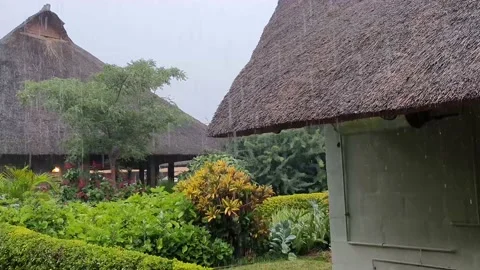 Rain falling strongly with focus on Athatched Roof, Victoria Falls Stock Footage