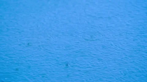Rain is falling on the surface of the water. Video stock 283066061