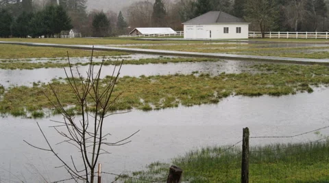 Rain falling into temporary lakes in a rural field Stock Footage 59206439