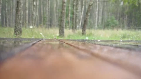 Rain falling on terrace in the forest Video stock 40580955
