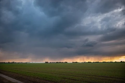 Rain is falling from a thunder shower at sunset Stock Photos