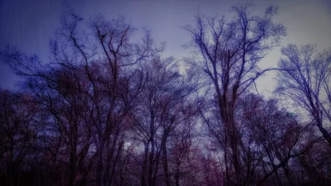 Rain falling with thunderstorm and lightning strikes in the mysterious forest Stock Footage 139902801