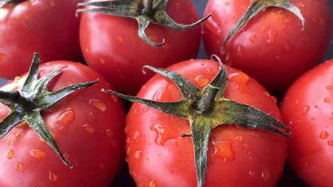 Rain falling on tomatoes in slow motion. Stock Footage 129777310