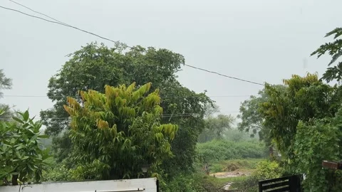 Rain Falling on Trees and Sky View Video stock 315267060