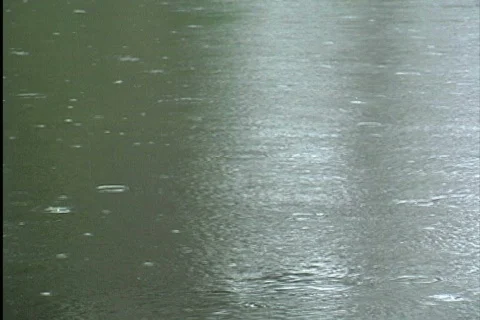 Rain falling on tropical stream Stock Footage 745110