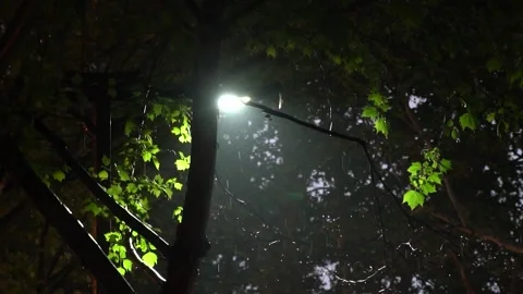 Rain falling under a bright street lamp at night in a quiet park Stock Footage 341956081