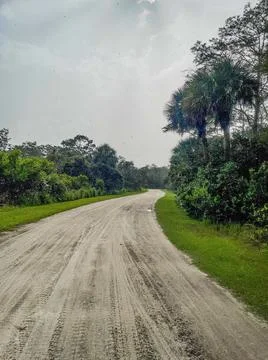 Rain falling on unpaved path in Florida park Stock Photos