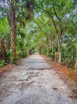 Rain falling on unpaved path in Florida park Stock Photos