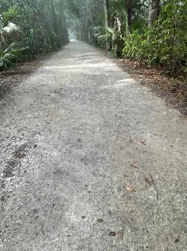 Rain falling on unpaved path in Florida park Stock Photos