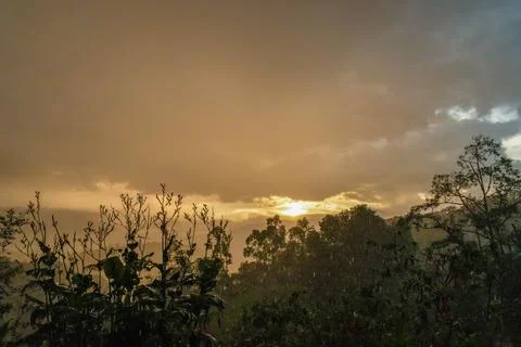The rain falling on the vegetation at the end of a sunset, in a garden farm i Stock Photos