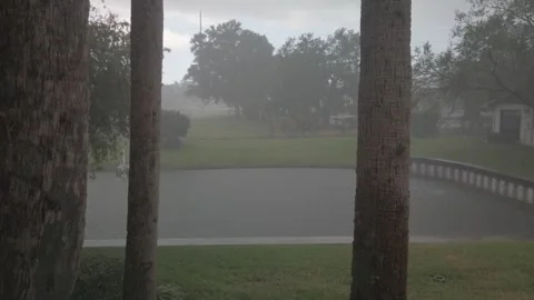 Rain falling view from over balcony edge. Green plants and water. Pan up Stock Footage 242267731