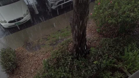 Rain falling view from over balcony edge. Green plants and water. Pan up Stock Footage 242267882
