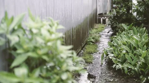 Rain falling by a warehouse, Tokyo, Japan Stock Footage 52201935