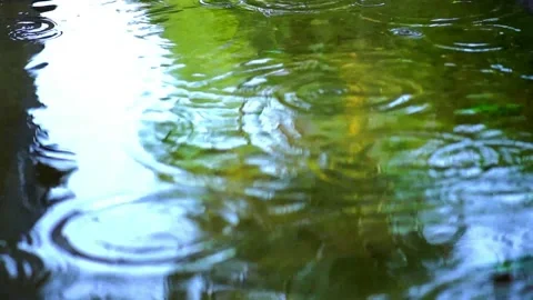 Rain falling on the water of a lake seen up close Video stock 211669474