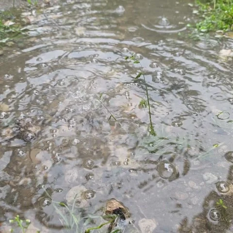 Rain Falling Into Water With Ripples Stock Footage 336387549