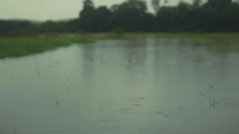 Rain falling on water surface calm flooded landscape Vidéo 332770048