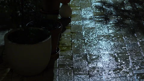 Rain falling on wet cobblestone pathway at night with potted plants Stock Footage 346012272