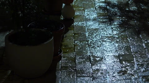 Rain falling on wet cobblestone pavement beside flower pots at night Видео 347183467