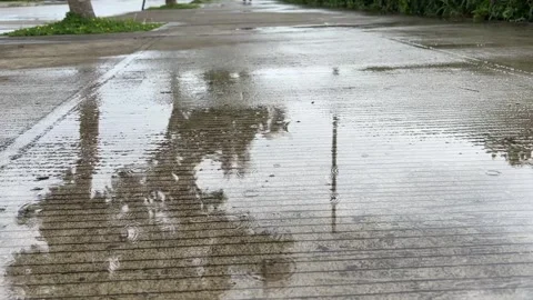 Rain falling on wet concrete sidewalk with tree reflection in puddle 库存影片 335683177