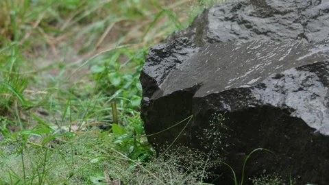 Rain Falling on Wet Rock and Grass in Natural Outdoor Setting Stock Footage 337438803