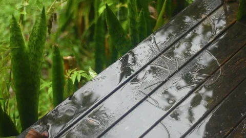 Rain Falling on Wet Wooden Deck with Green Plants - Relaxing Atmosphere Stock Footage 327689318