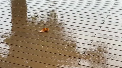 Rain falling on a wet wooden deck with multiple fallen leaves appearing as .. 库存影片 336151737