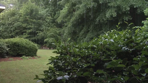 Rain Falling Wide 1 스톡 동영상 27430245