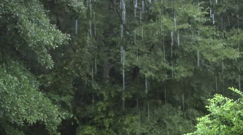 Rain Falling Wide Rack 1 스톡 동영상 27427951