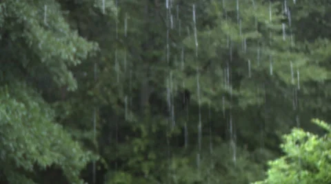Rain Falling Wide Rack 2 스톡 동영상 27429300