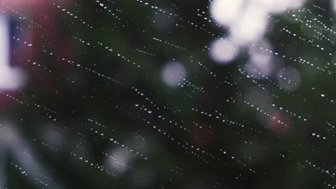 Rain falling on the window surface Stock Footage 136214113