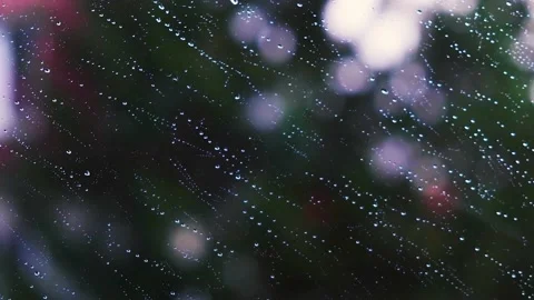Rain falling on the window surface Stock Footage 136214140
